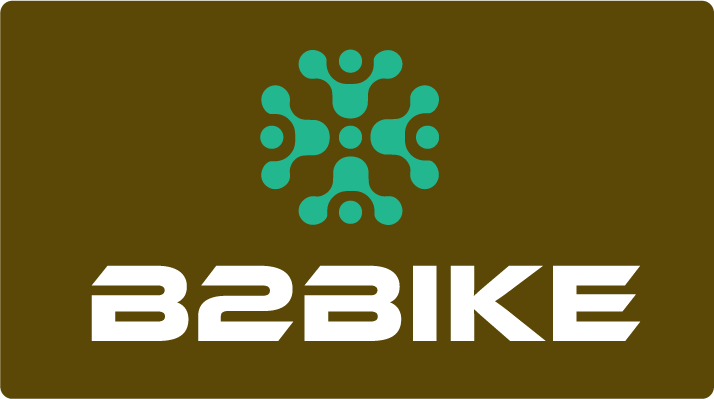 b2bike.pt
